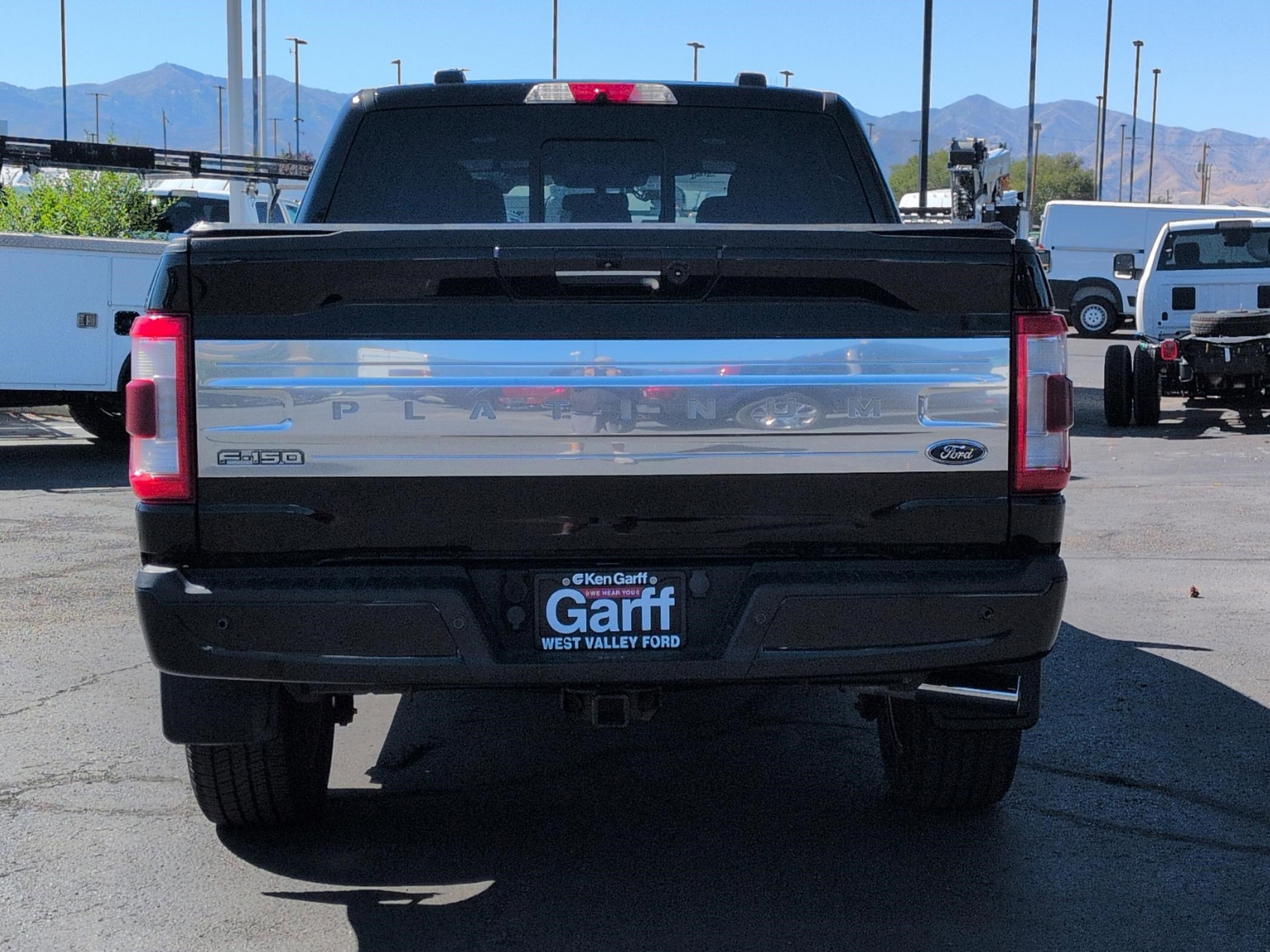 Used 2021 Ford F150 Platinum image 5