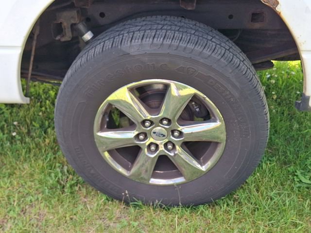 Used 2009 Ford F150 XLT RWD image 5