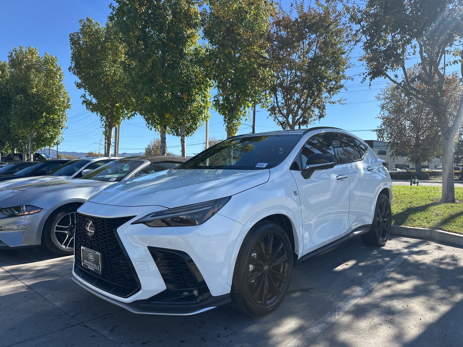 Used 2024 Lexus NX 450h+ F Sport