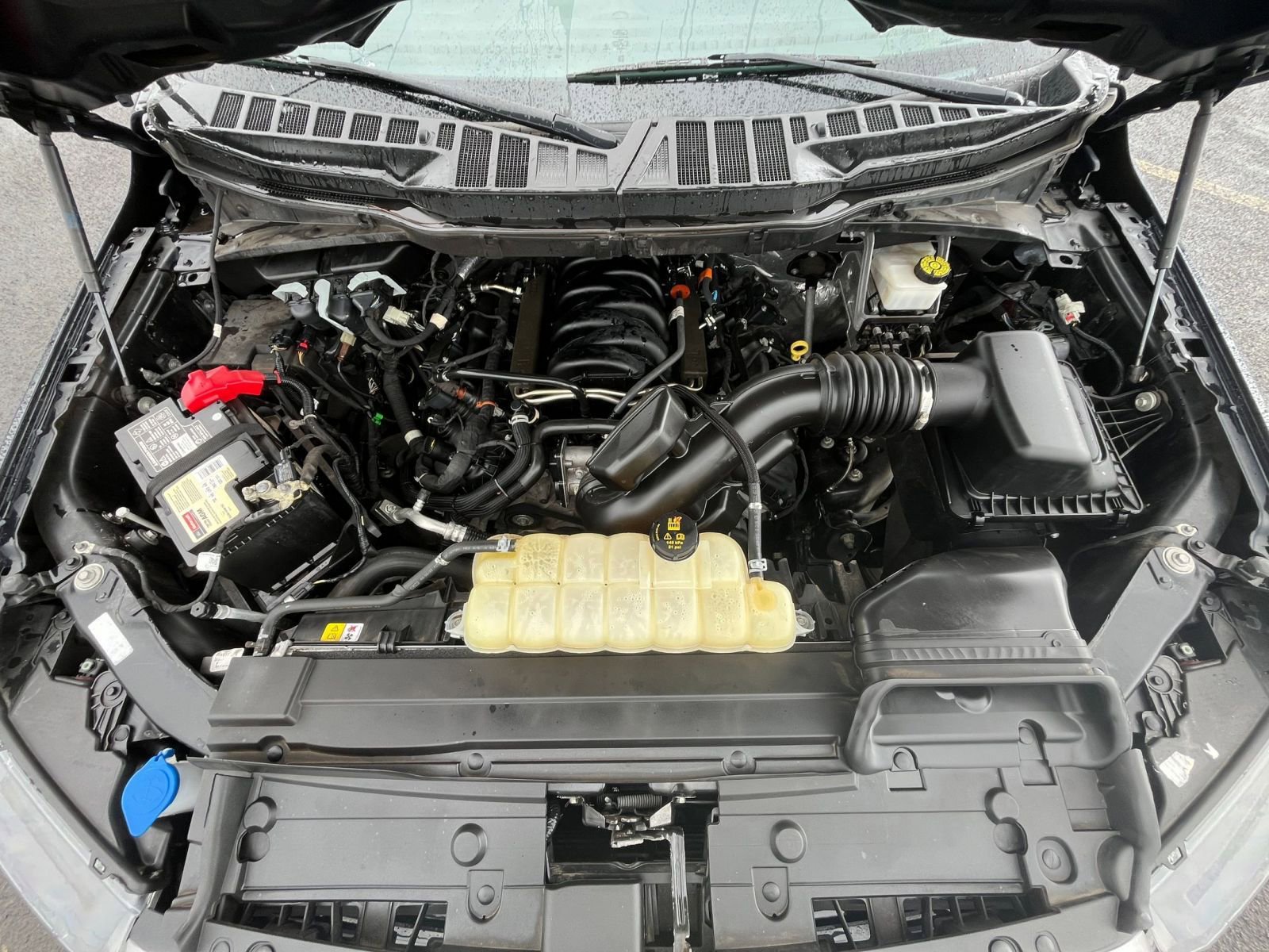 Used 2023 Ford F150 XLT w/ Equipment Group 301A Mid image 33