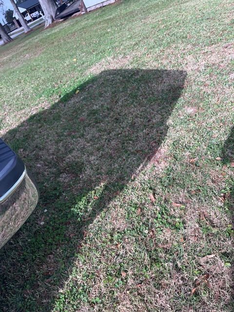 Used 2012 Ford F150 XLT w/ XLT Chrome Pkg image 14