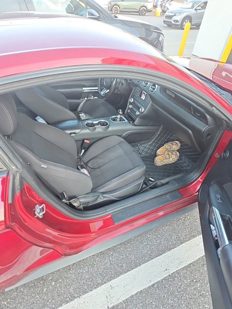 Used 2018 Ford Mustang Coupe RWD image 7