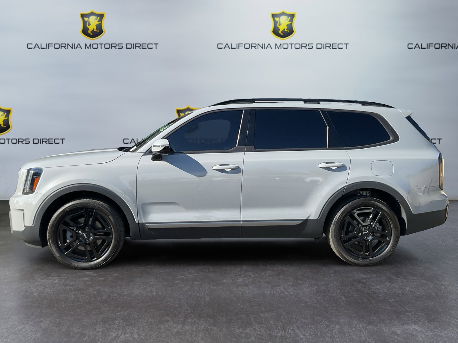 Used 2023 Kia Telluride SX Prestige X-Line image 8
