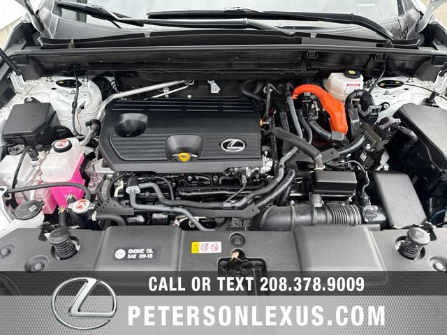 Used 2024 Lexus NX 350h AWD w/ Cold Area Package image 10
