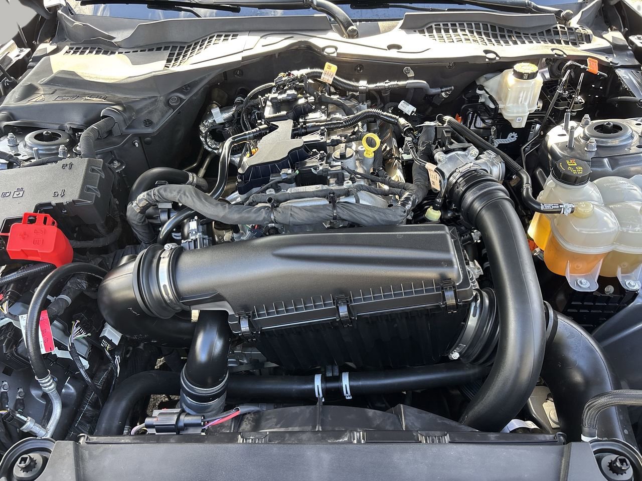 Certified 2024 Ford Mustang Premium image 9