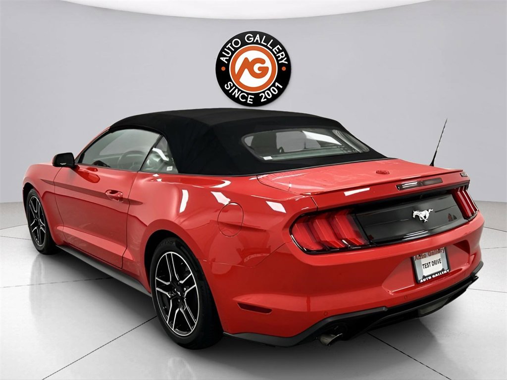 Used 2023 Ford Mustang Premium image 5