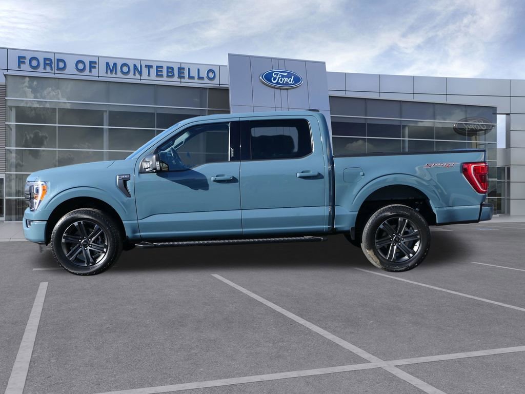 Used 2023 Ford F150 XLT w/ Equipment Group 302A High AWD/4WD image 8