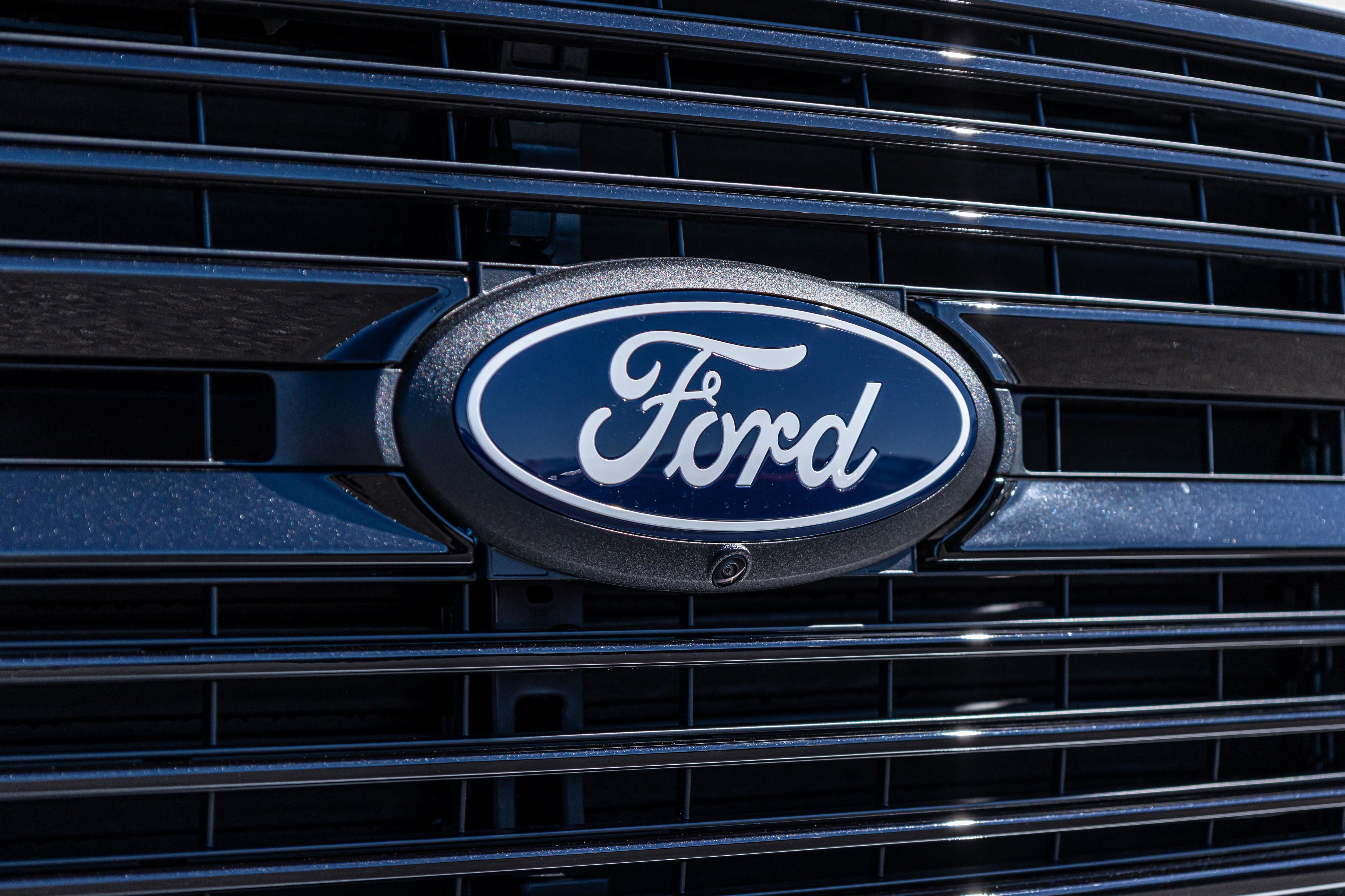 New 2026 Ford F150 Platinum image 10