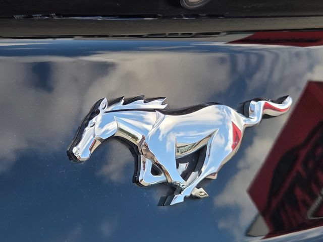 Used 2016 Ford Mustang Premium w/ Equipment Group 201A RWD image 13