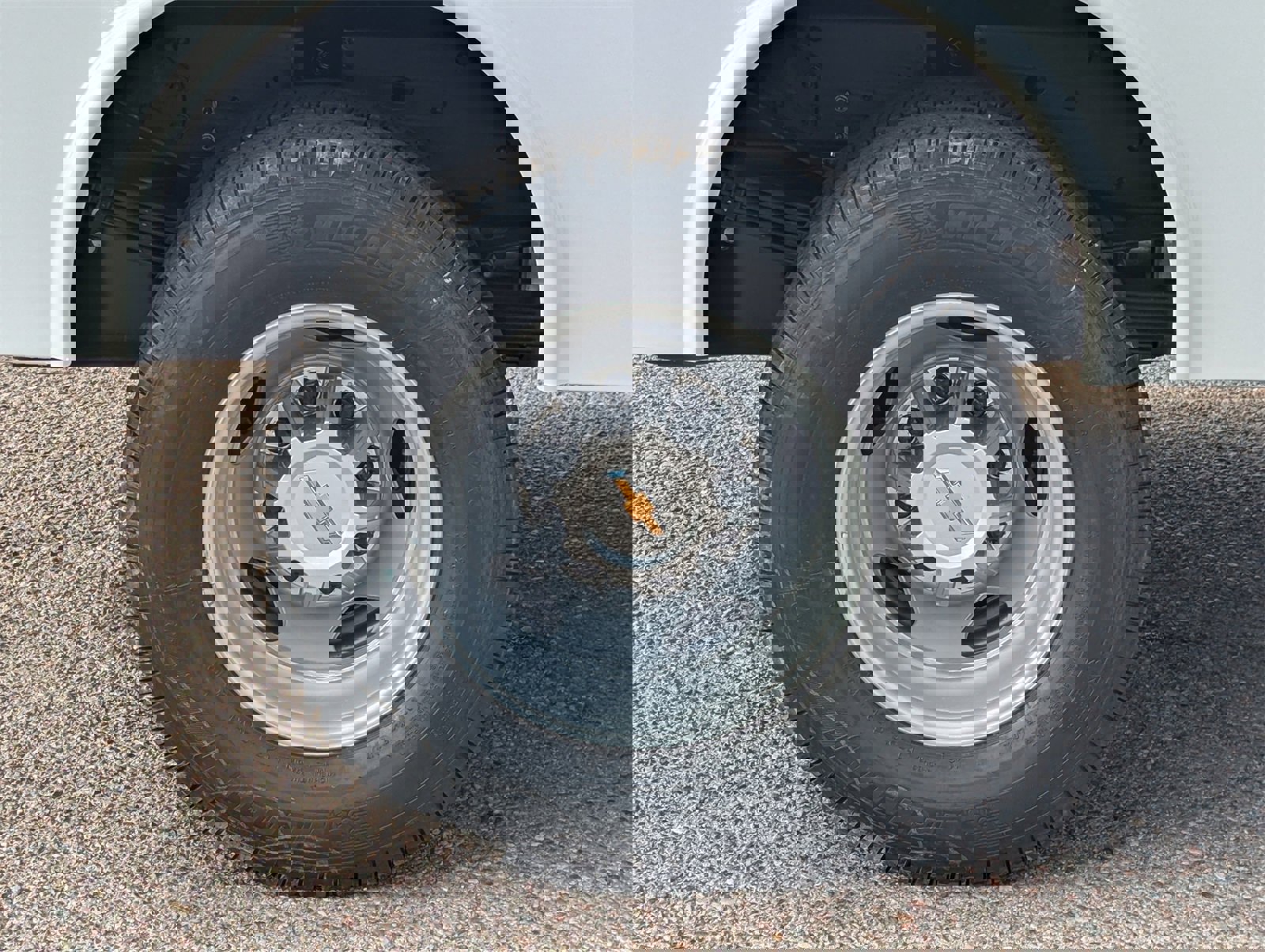 New 2026 Chevrolet Silverado 3500 W/T w/ WT Convenience Package image 10