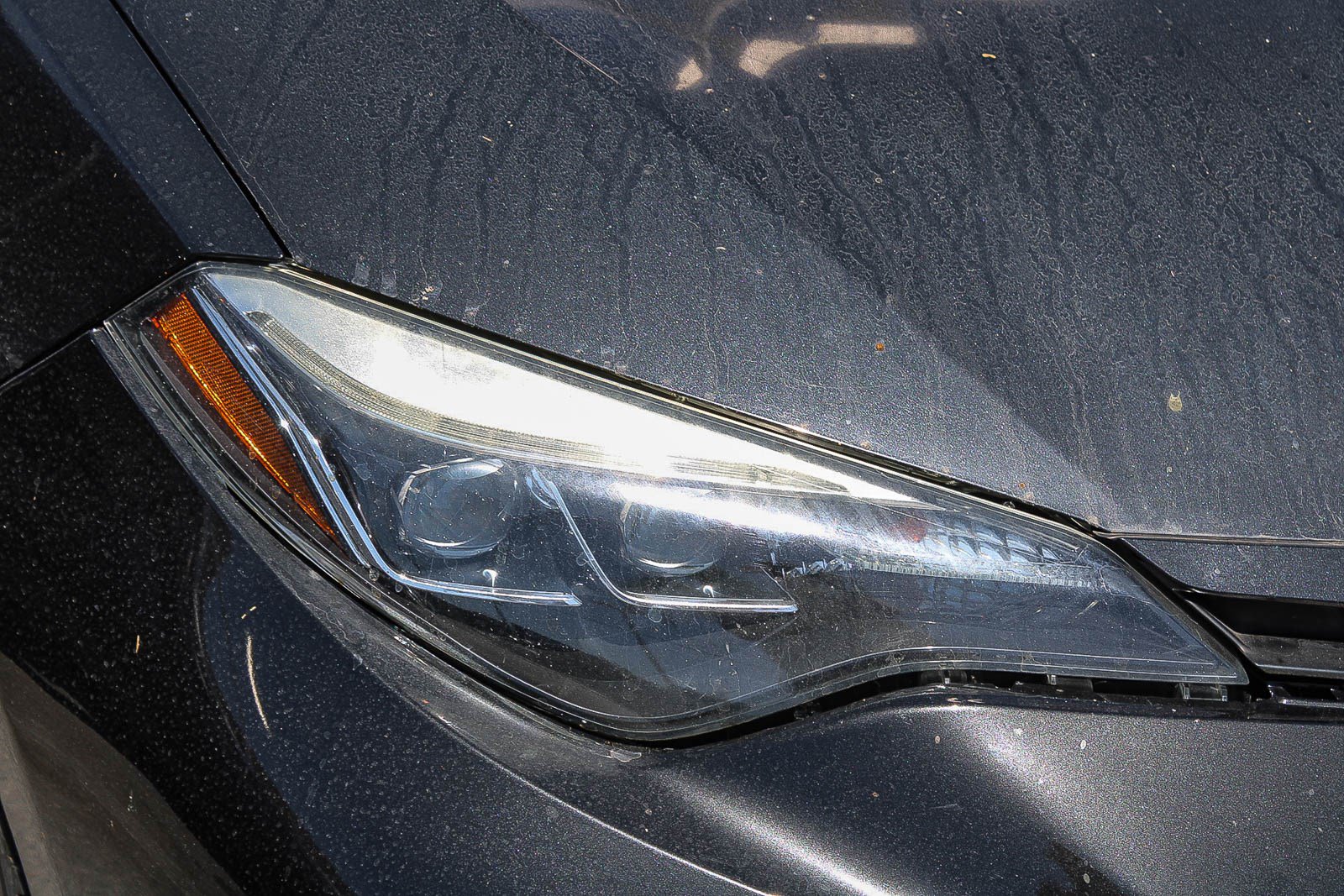 Used 2019 Toyota Corolla SE w/ Carpet Mat Package (TMS) FWD image 5