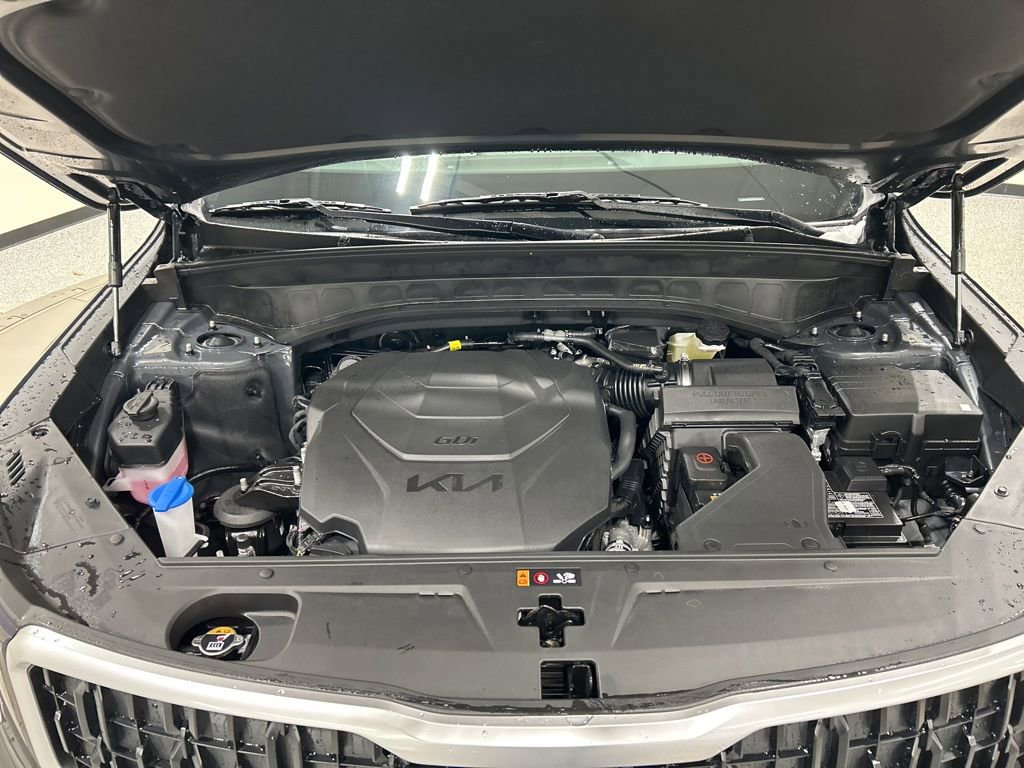 New 2025 Kia Telluride EX image 30