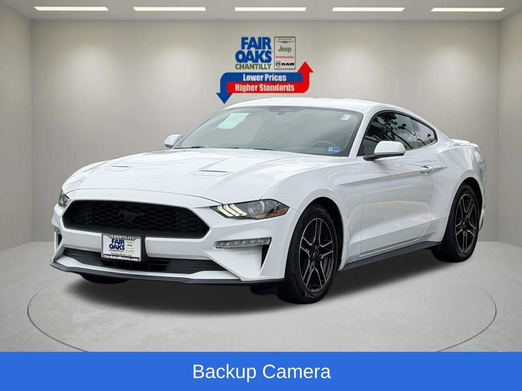 Used 2019 Ford Mustang Coupe w/ Equipment Group 101A RWD image 3