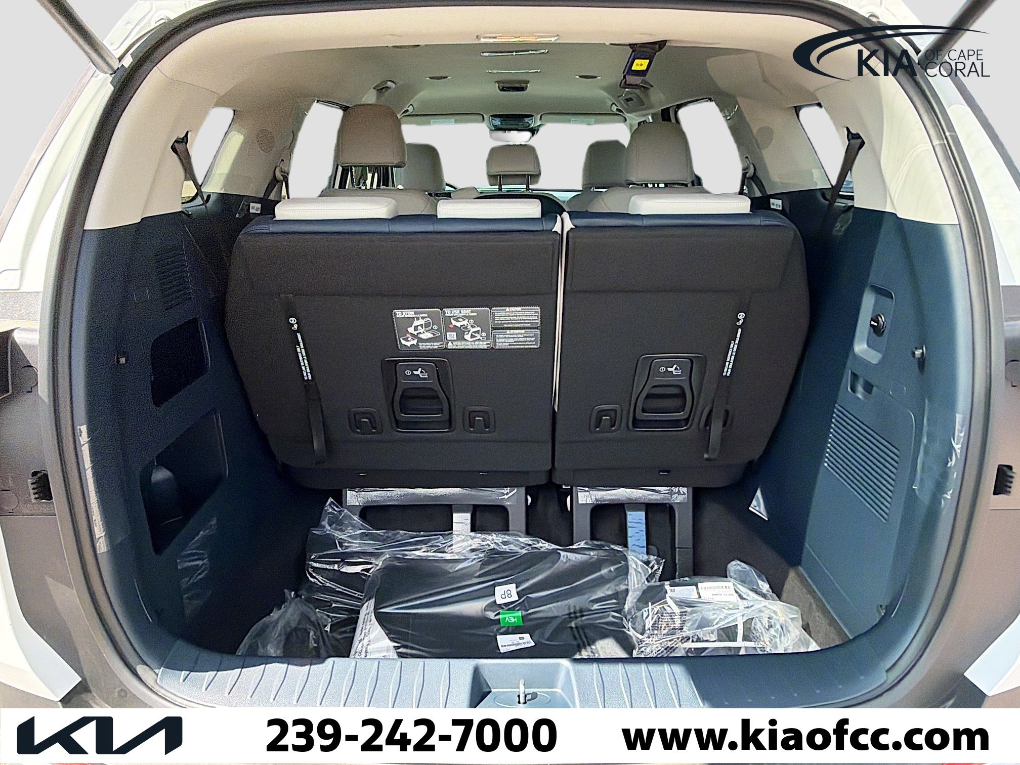 New 2026 Kia Carnival EX image 11