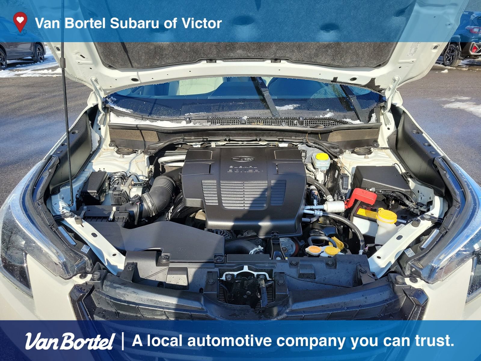 Used 2023 Subaru Forester Premium image 11