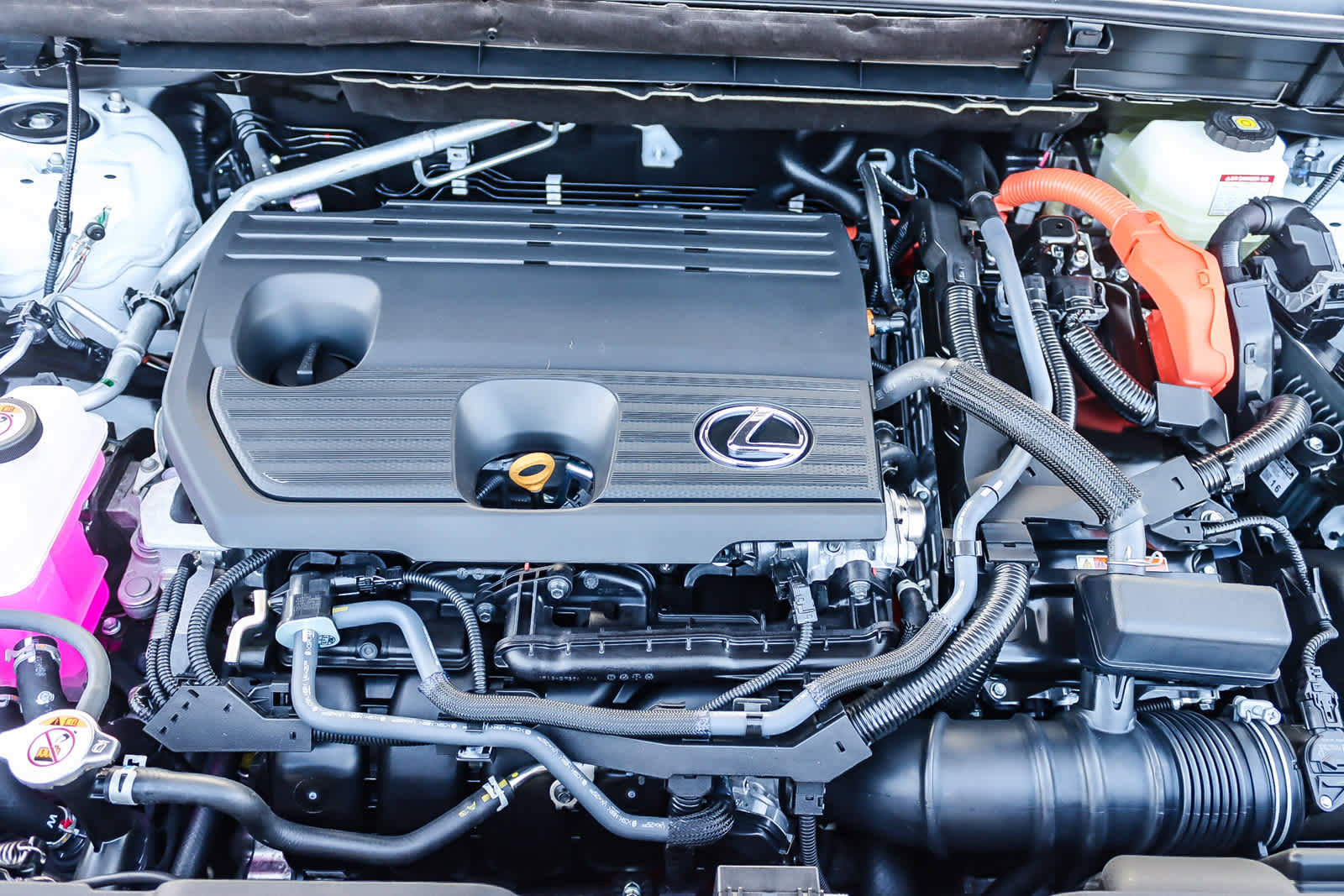 New 2026 Lexus NX 350h AWD w/ Premium Package image 12