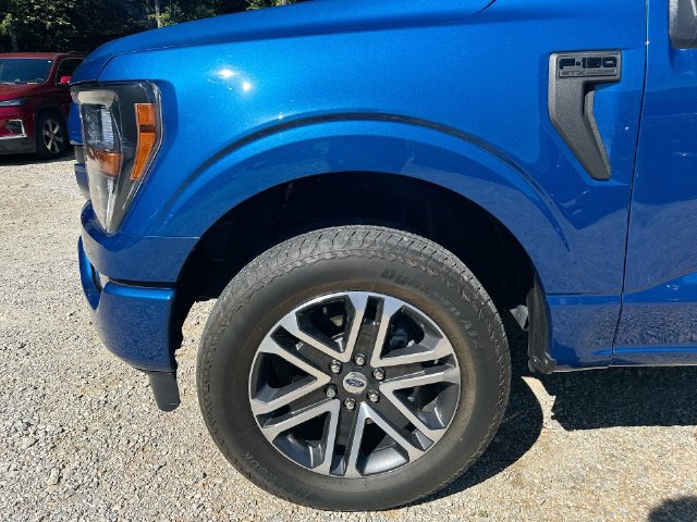 Used 2023 Ford F150 XL w/ STX Appearance Package AWD/4WD image 37
