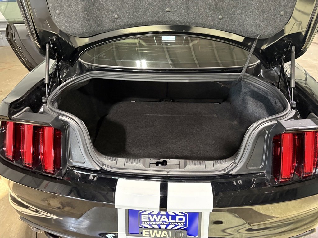 Used 2017 Ford Mustang Shelby GT350 image 16