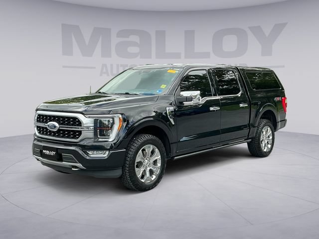 Used 2021 Ford F150 Platinum AWD/4WD image 1