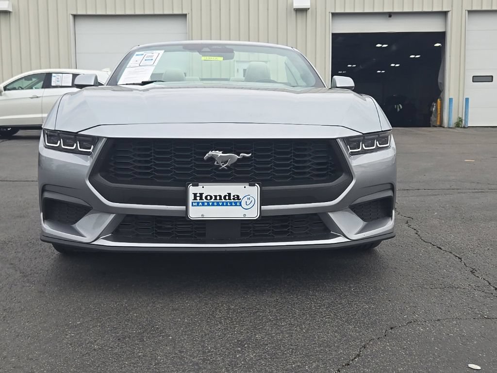 Used 2024 Ford Mustang Premium RWD image 2