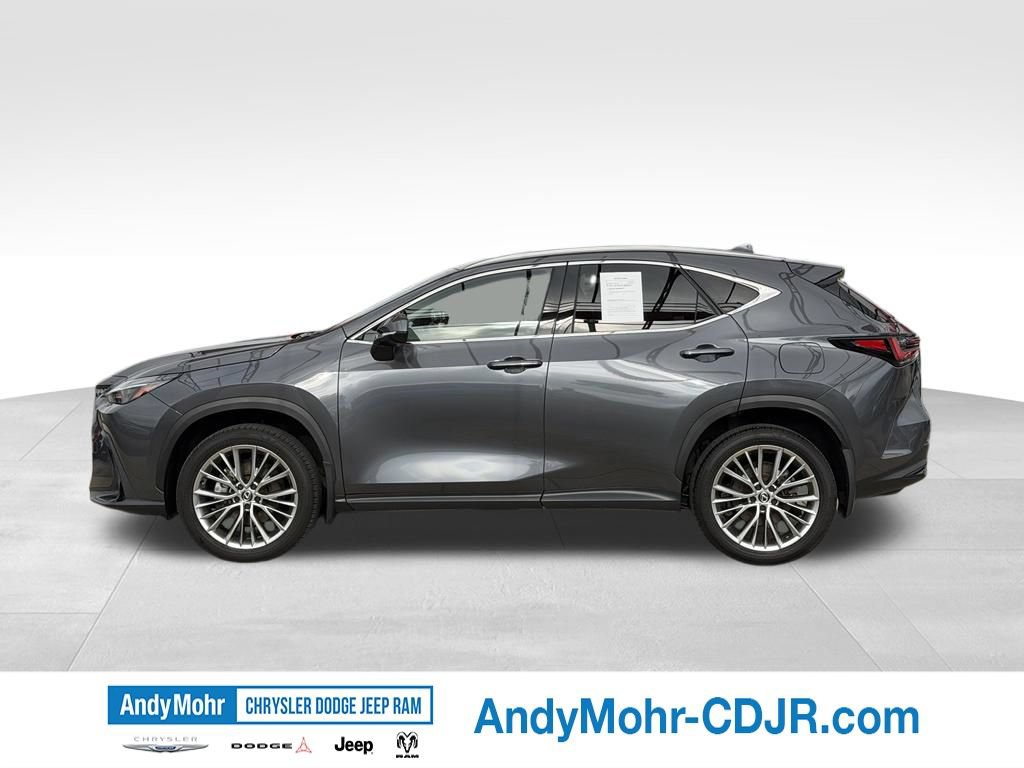 Used 2025 Lexus NX 350h AWD w/ Accessory Package (2T) image 4