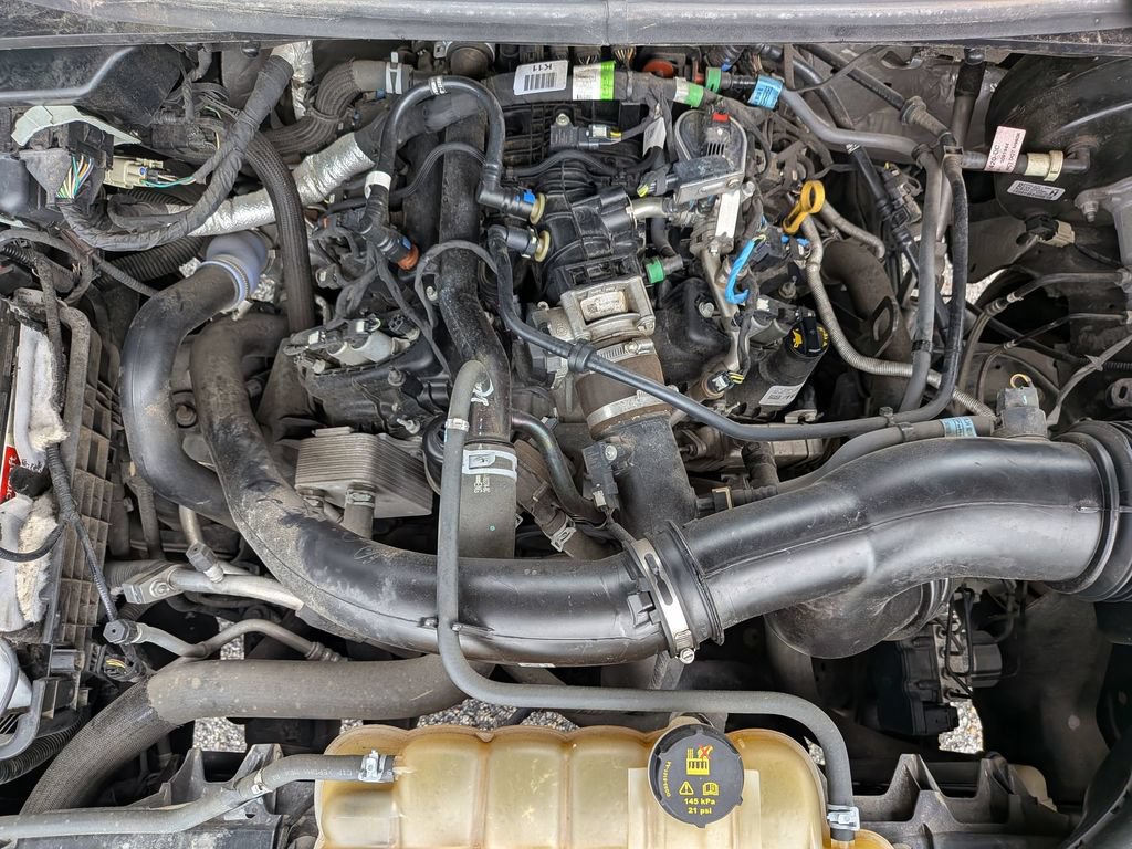 Used 2019 Ford F150 XLT w/ Equipment Group 302A Luxury RWD image 13