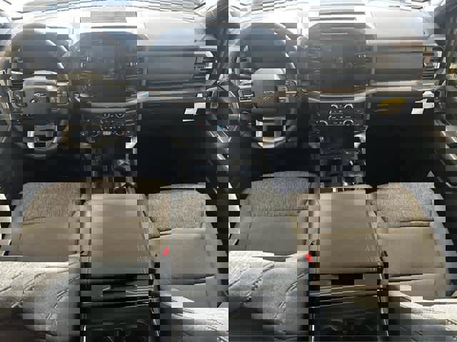 New 2025 Ford F150 XLT w/ Equipment Group 302A MID image 19