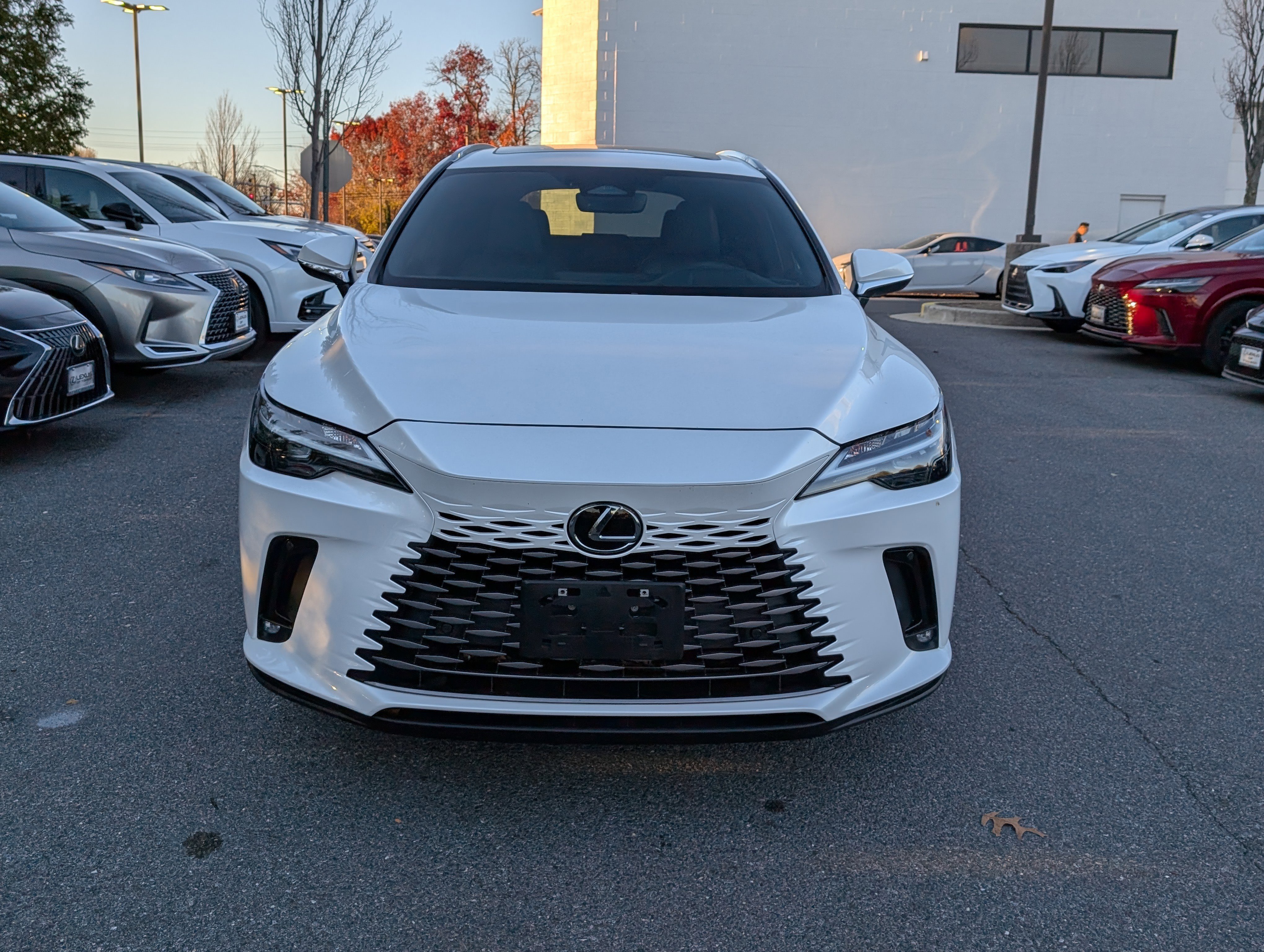 Used 2023 Lexus RX 350 Premium Plus w/ Accessory Package image 8