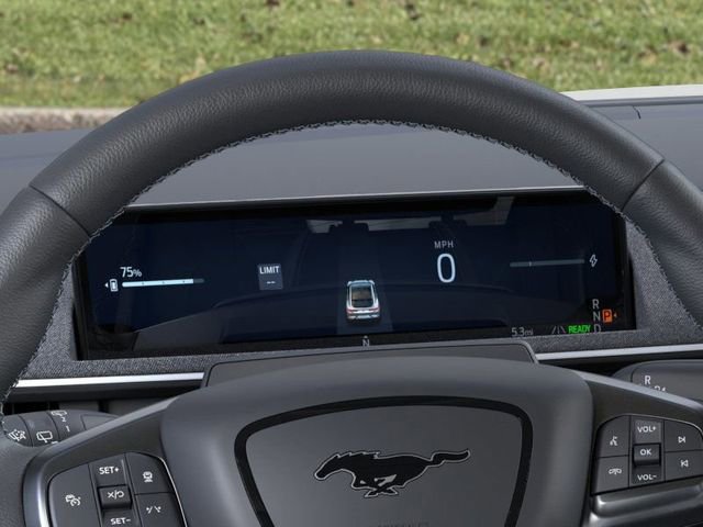 New 2025 Ford Mustang Mach-E GT w/ Interior Protection Package image 13
