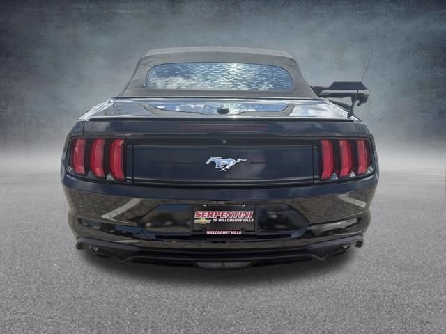 Used 2019 Ford Mustang Premium RWD image 8