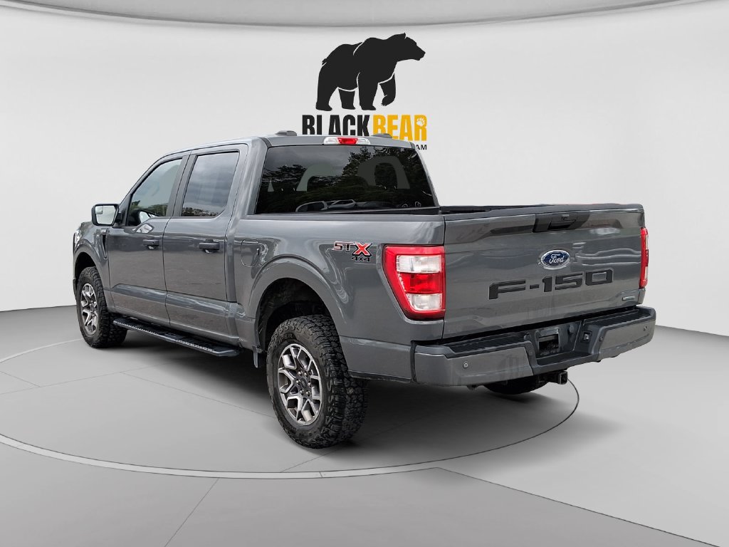 Used 2021 Ford F150 XL w/ STX Appearance Package AWD/4WD image 5