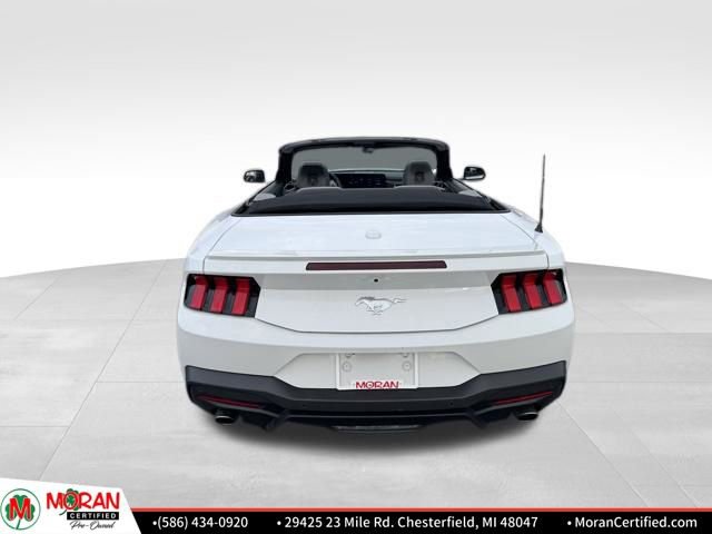 Used 2024 Ford Mustang Premium image 4
