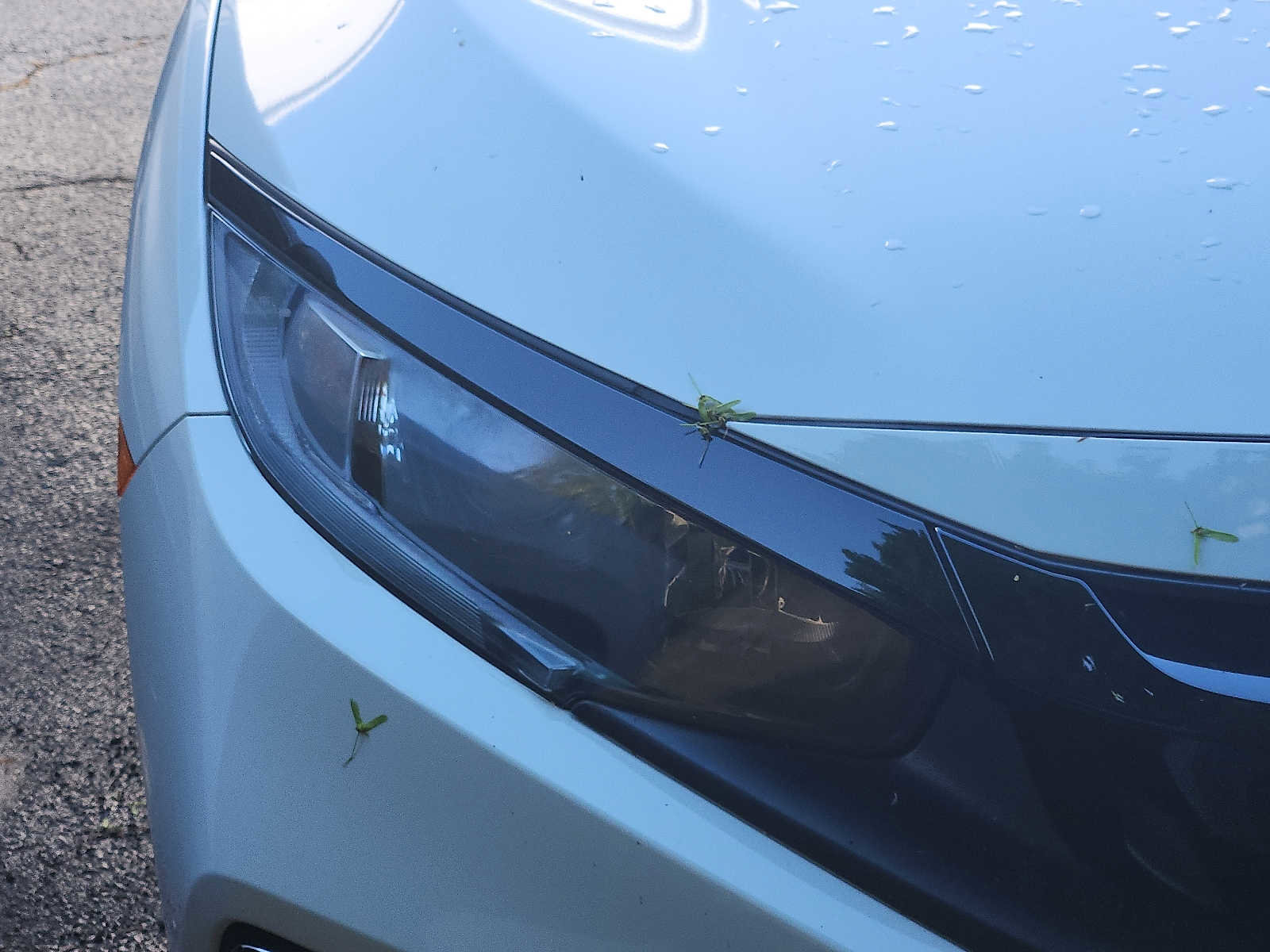 Used 2019 Honda Civic LX image 3