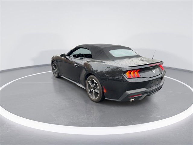Used 2024 Ford Mustang Premium image 6