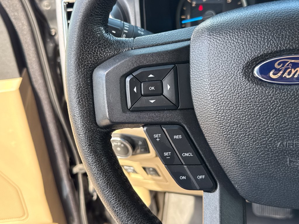 Used 2015 Ford F150 XLT w/ Equipment Group 301A Mid RWD image 15