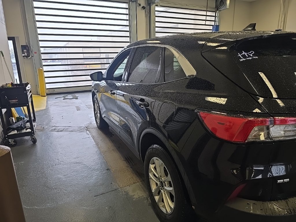 Used 2020 Ford Escape SE AWD/4WD image 4