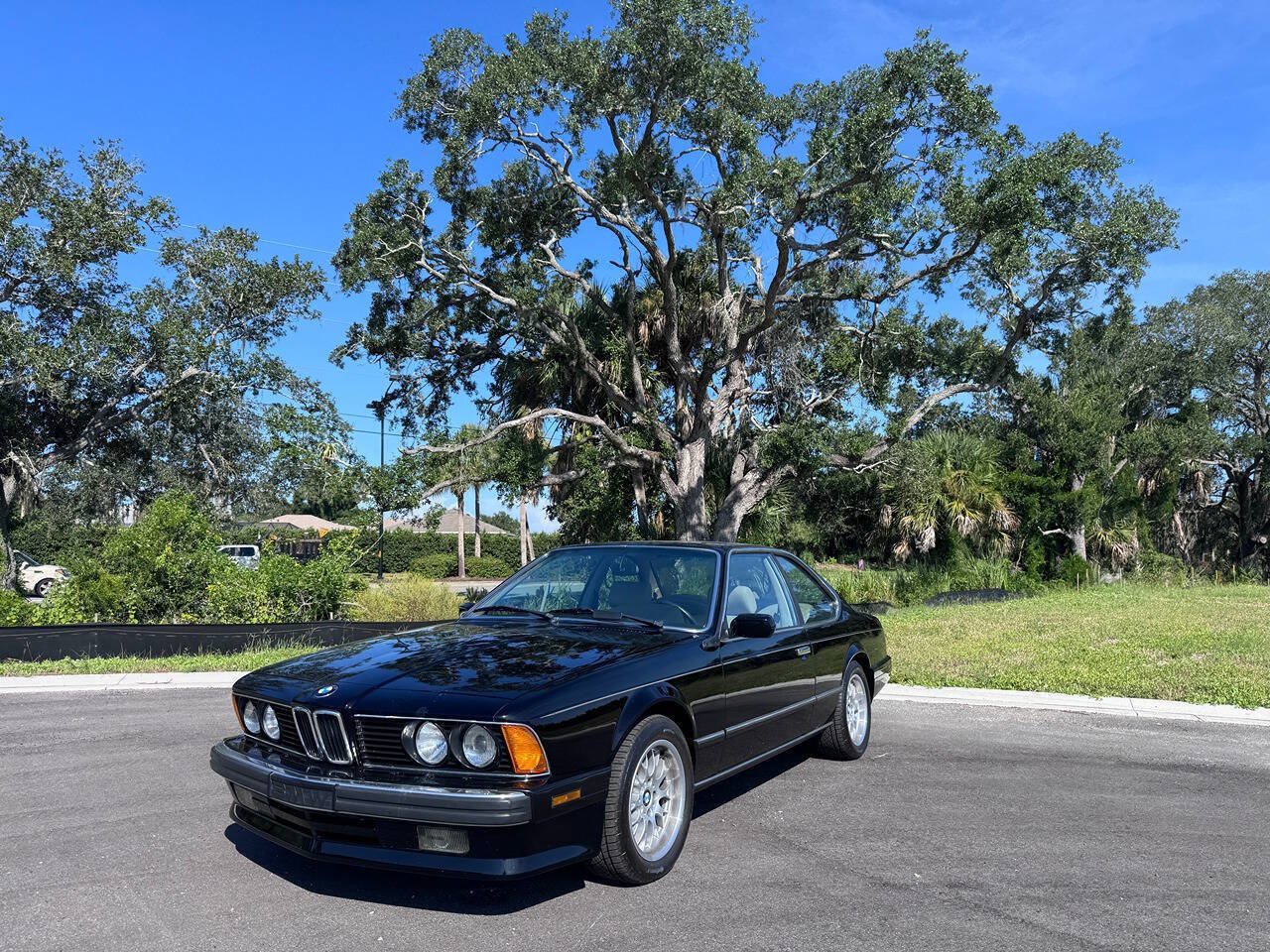 Used 1988 BMW 635CSi Coupe RWD image 11