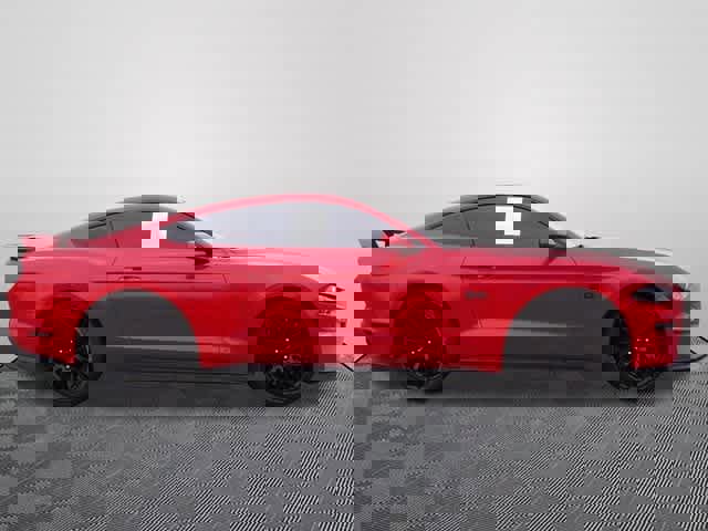 Used 2019 Ford Mustang GT Premium w/ GT Performance Package image 4