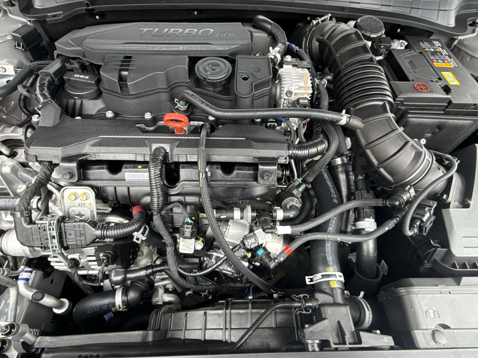 New 2026 Hyundai Elantra N Line w/ Cargo Package image 28