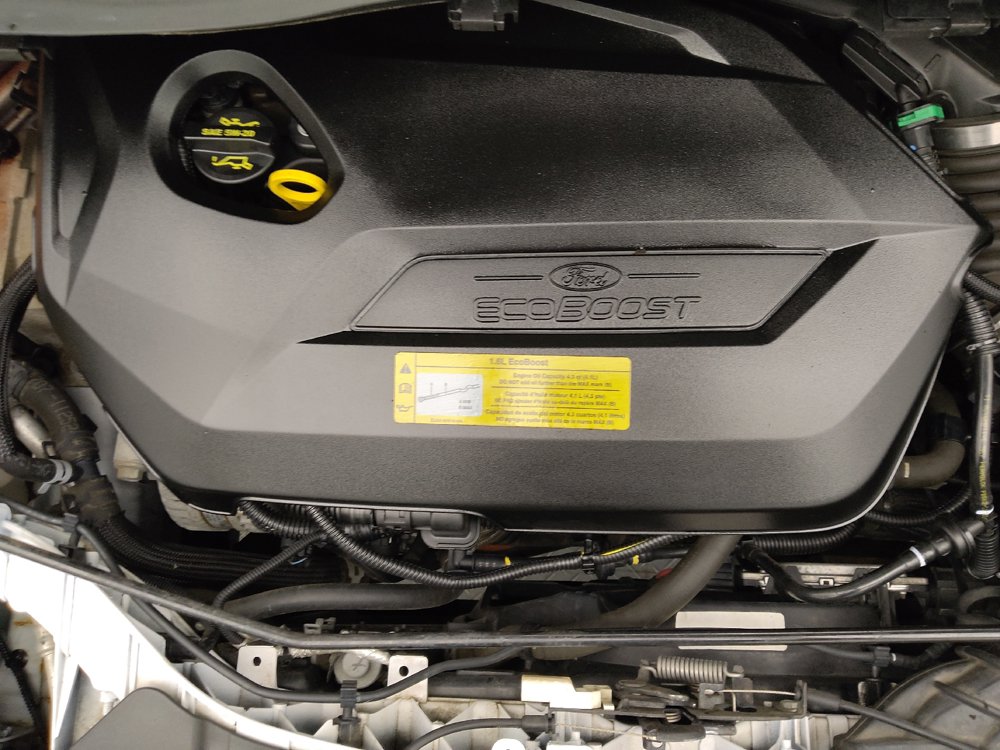 Used 2014 Ford Escape SE FWD image 30