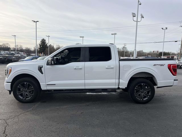 Certified 2023 Ford F150 XLT w/ Equipment Group 302A High image 4