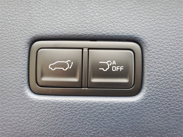 New 2026 Kia Carnival SX image 10