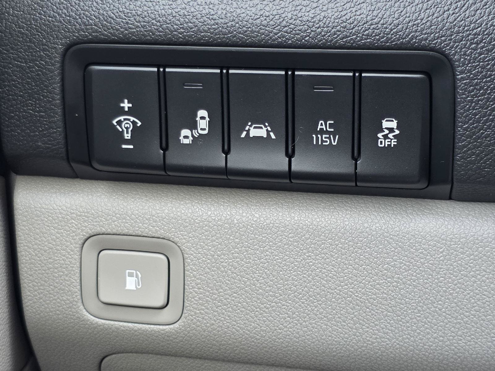 Used 2019 Kia Sedona SX FWD image 11