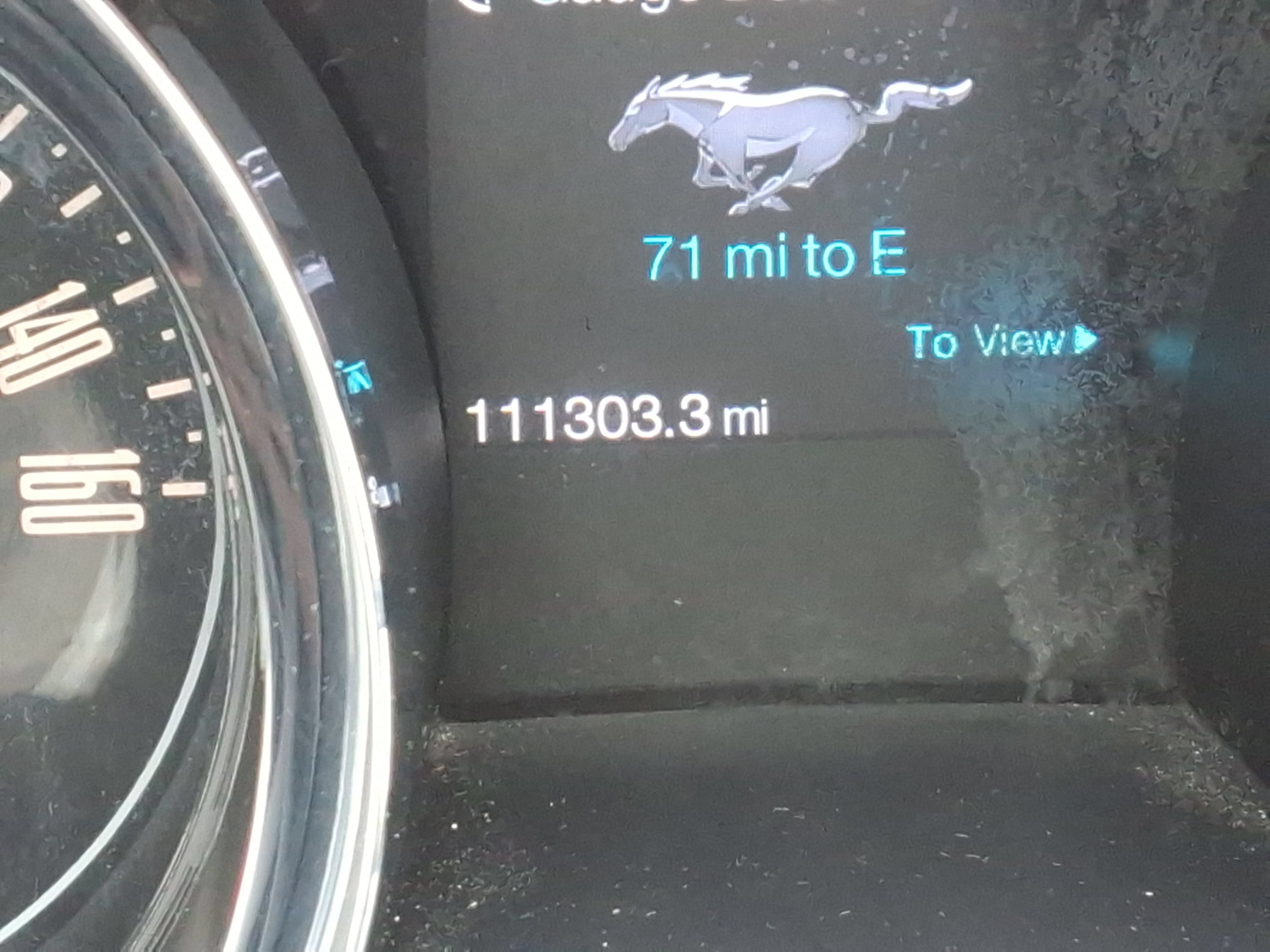 Used 2014 Ford Mustang Premium w/ Equipment Group 201A RWD image 13