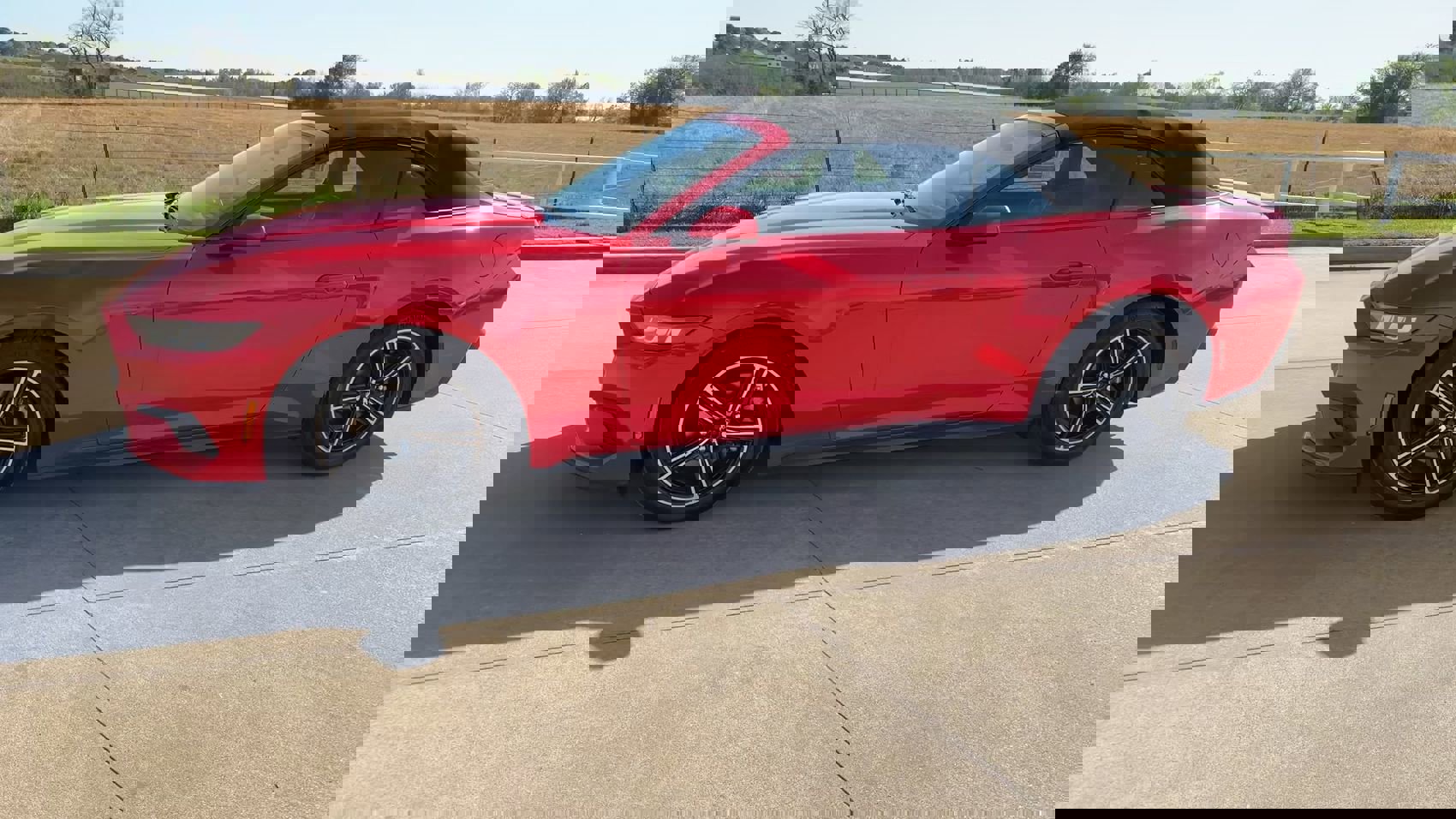 Used 2024 Ford Mustang Premium image 6