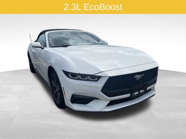 Used 2024 Ford Mustang Premium RWD image 1