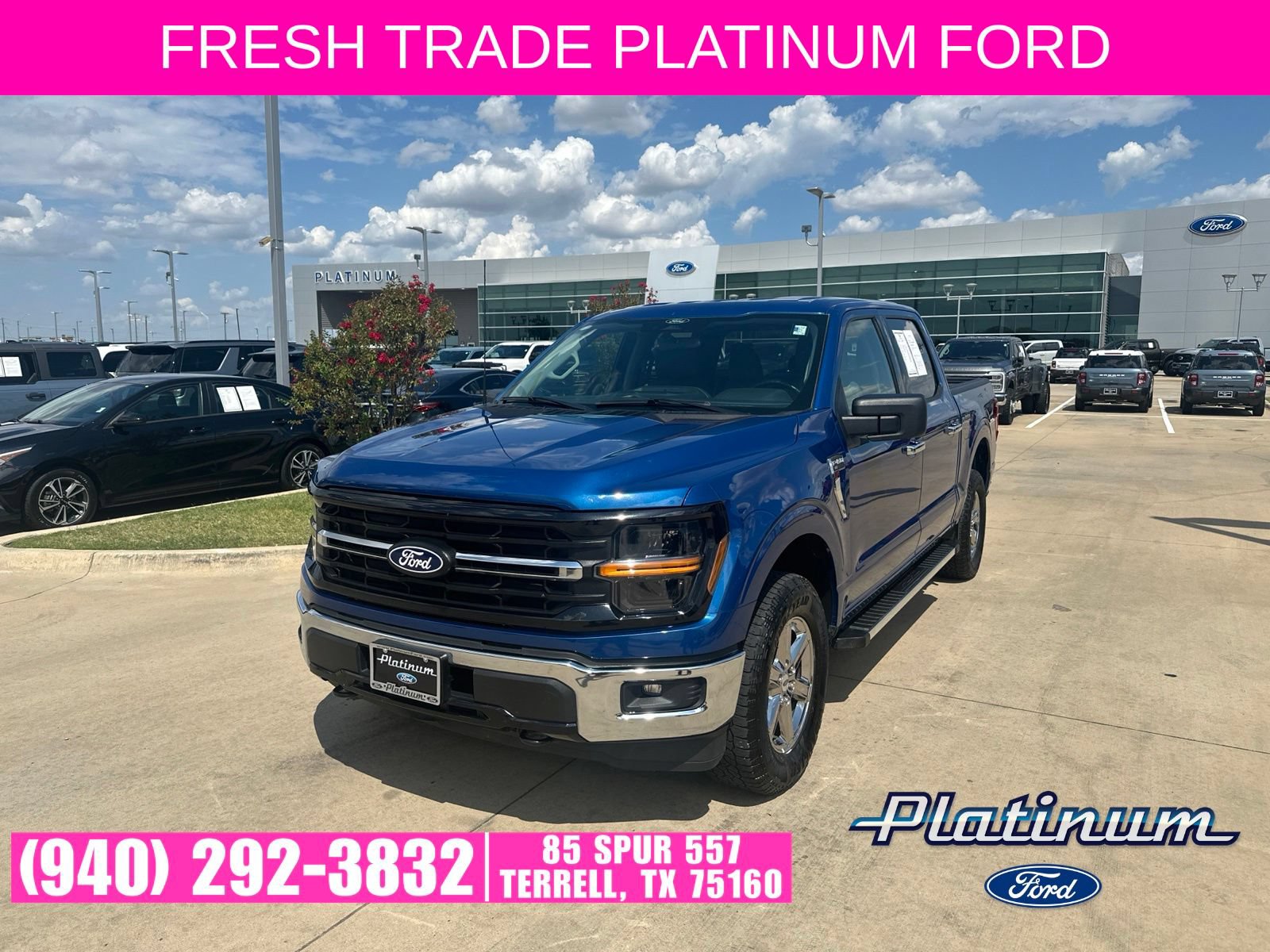 Used 2025 Ford F150 XLT w/ Equipment Group 301A Standard