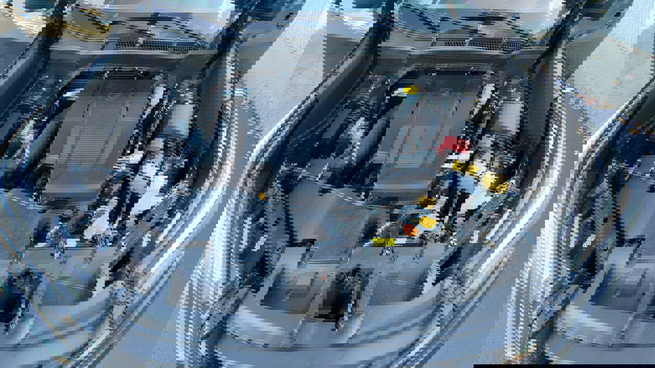 Certified 2024 Subaru Forester Premium image 9