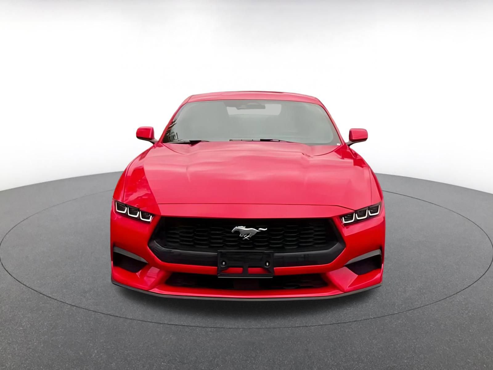 Used 2024 Ford Mustang Premium image 7