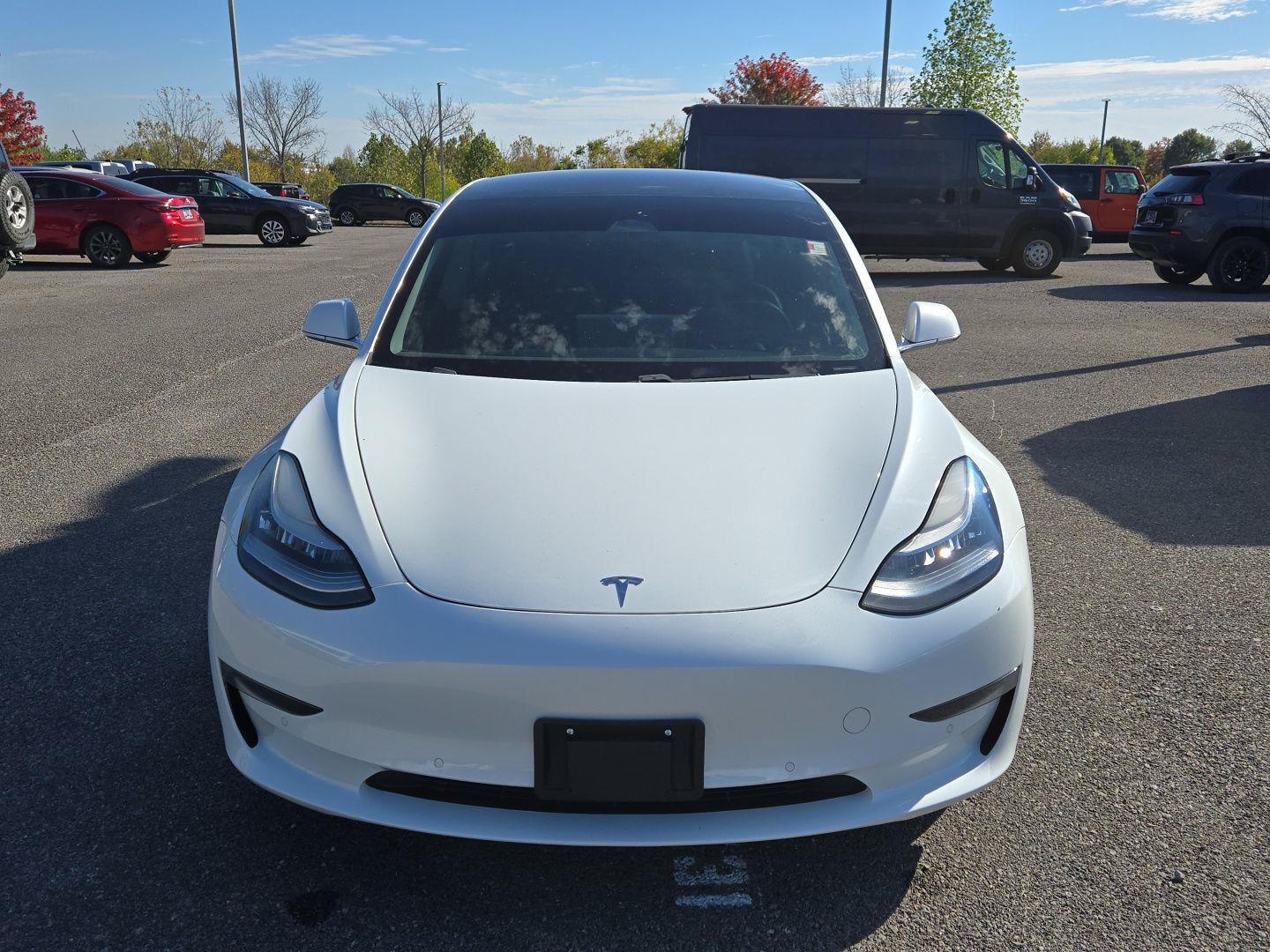 Used 2020 Tesla Model 3 Standard Range RWD image 2